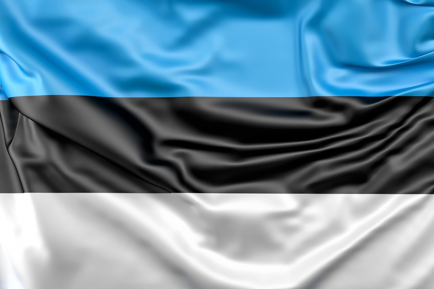 Flag estonia
